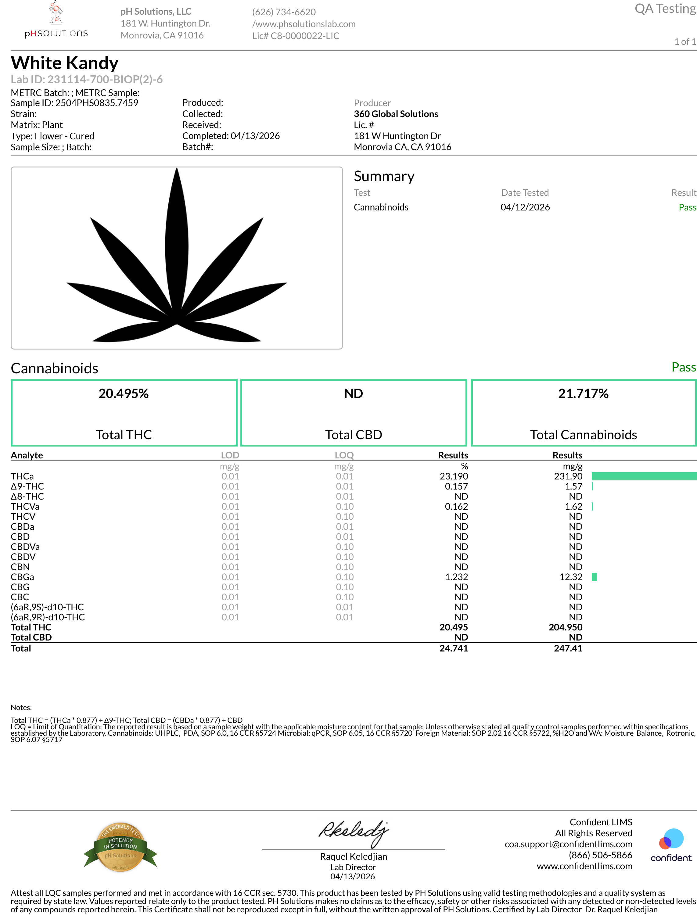 White Kandy analysis report with black cannabis leaf icon on a white background