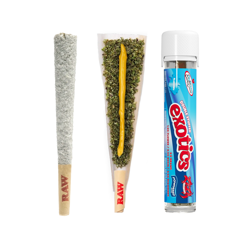 Ice Kream Blueberry Exotics THCA Powdered Donuts with a coated pre-roll, an open pre-roll showing the hash batter core and a pre-roll in a tube