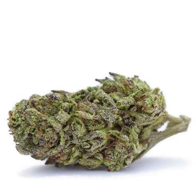 Sherbanger Value Reserve – 1oz