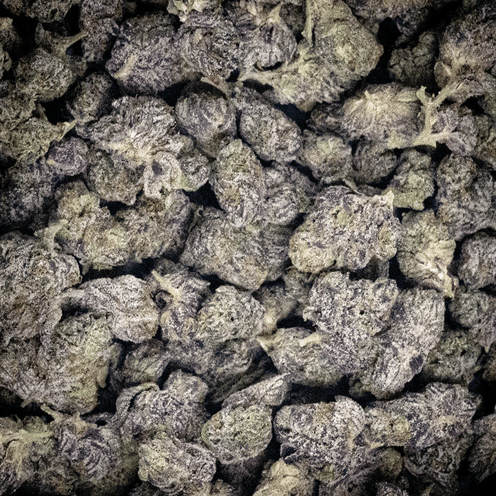 Reserve Indoor Smalls