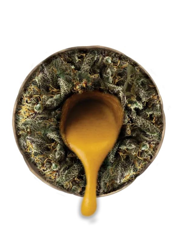 PINEAPPLE EXPRESS DONUTS