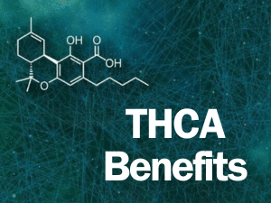 Benefits of Smoking THCA